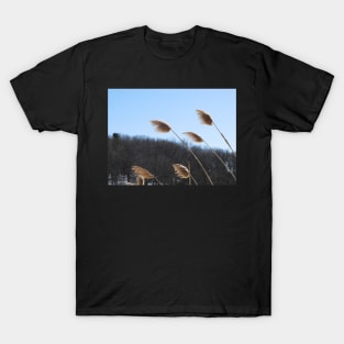 Dancing in the Wind T-Shirt